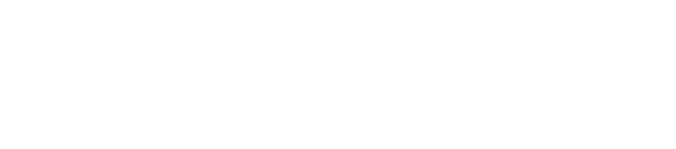 InitusGPT