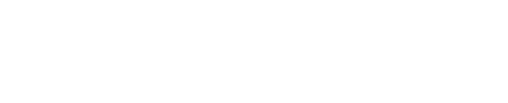 InitusIDP